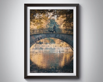 Hanover Georgengarten Autumn Photography Glow Leaves Wall Art Nature Photography