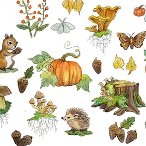Images clipart automne des bois - fichiers PNG Art inspiré de la nature automne - champignons, champignons - feuilles d'automne - animaux de la forêt - clipart pour travaux manuels