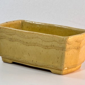 May include: A rectangular, light yellow ceramic planter with a wavy design along the top edge. The planter has a speckled texture and sits on small feet. Ideal for succulents or small plants.