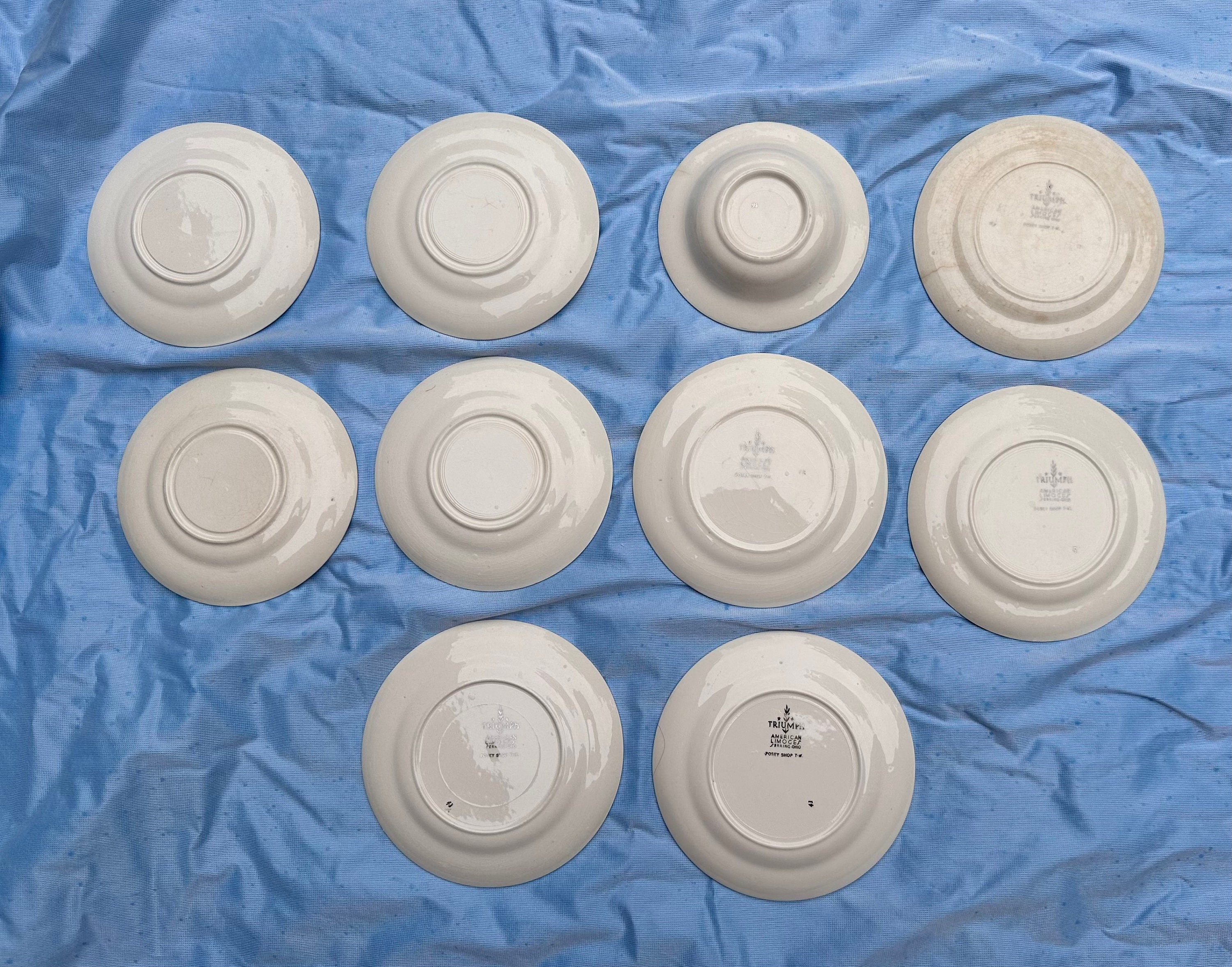 1940s American Limoges Triumph Posey Shop Set of 10 Pieces Viktor  Schreckengost Vintage Art Deco Floral Plates Saucers Bowl Distressed - Etsy