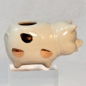May include: A ceramic pig-shaped planter in a cream color with gold accents. The planter has a single opening on top and is designed with a whimsical, cartoonish style. The pig has a small snout and ears, and is sitting on a clear stand.