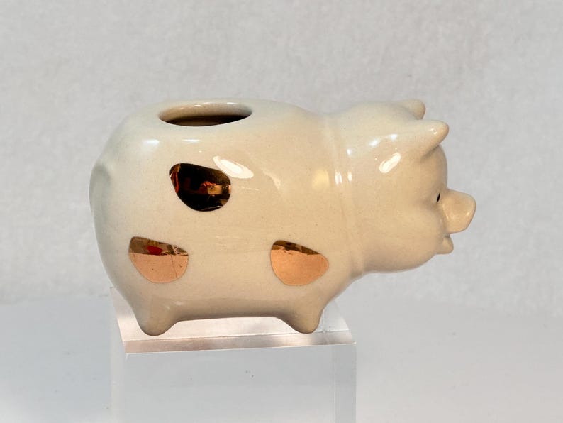 May include: A ceramic pig-shaped planter in a cream color with gold accents. The planter has a single opening on top and is designed with a whimsical, cartoonish style. The pig has a small snout and ears, and is sitting on a clear stand.
