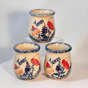 May include: Three ceramic pots with a cream-colored base, each adorned with the word "Texas" in blue script. The pots feature floral designs in red, blue, and yellow, with a blue rim. The pots are displayed on a white surface.