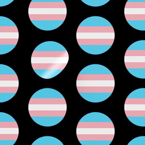 Trans Pride Flag Sticker Pack – Vinyl Stickers