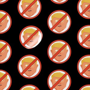 Anti-Trump Stickers | No Trump Decals | No Fascism Sticker Pack | Protest Stickers | Activist Decals | Anti-Hate Vinyl Stickers
