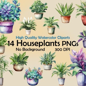 May include: A set of 14 watercolour houseplant PNG clipart images. The plants are in various pots and are all on a light beige background. The text "High Quality Watercolor Cliparts 14 Houseplants PNGs No Background 300 DPI" is at the bottom of the image.