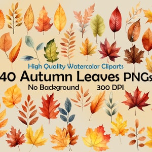 Autumn Leaves Clipart Watercolor Leaf PNG Digital Art Fall Foliage Illustration Bundle Commercial Use Sublimation Halloween Rustic Decor
