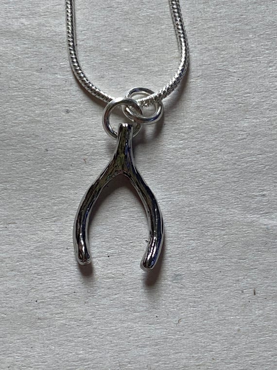 Conan Gray Inspired Wishbone Necklace - Etsy