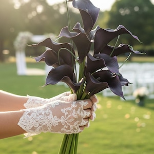 Puede incluir: Un ramo de calas moradas oscuras sostenido por una persona con guantes de encaje blancos. Las flores tienen forma de trompeta y están agrupadas. El fondo es una escena borrosa al aire libre con hierba verde y árboles.