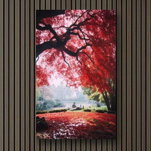 Autumn Splendor: Japanese Maple | Serene Nature with Vibrant Fall Leaves Canvas Wall Art Print Decor | Ready to Hang