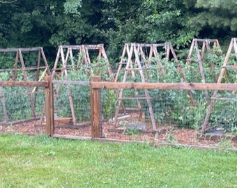 Garden Fence Plans - Easy to build, functional and inexpensive garden fence - plans and instructions