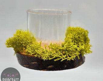 Mangeoire pour araignée sauteuse, Accessoires pour enclos, Accessoires pour spod, Rebord pour araignée sauteuse, Accessoires aimantés, Accessoires pour spod
