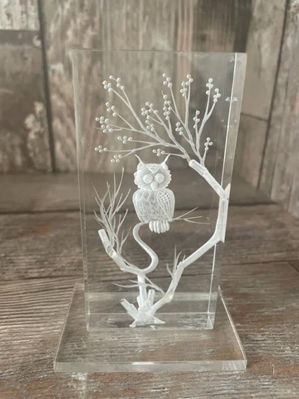 Vintage 3-D acrylic reverse carved owl in tree paperweight