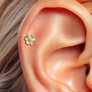 18G Zierliche Blume Labret mit Innengewinde - Knorpelohrring - Helix Gestüt - Tragus Blumen Ohrring - Conch Piercing - Flacher Ohrring