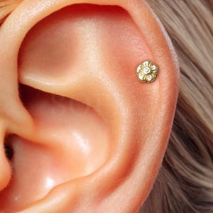 18G winzige Diamant Daisy Blume intern gefädelte Labret - Knorpel Ohrringe - Helix Bolzen - Tragus Bolzen - Conch Piercing - Flache Rückseite