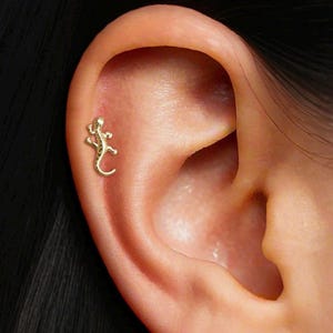 Orecchino a forma di labret in argento sterling 18G con geco: elica, trago e conchiglia