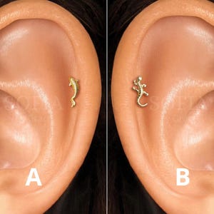 Labret à filetage interne pour poissons koi et geckos 18G - Clou pour cartilage - Clou pour tragus - Clou pour conque - Clou hélicoïdal - Clou pour conque - Dos plat
