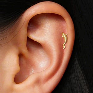 18 kt gouden koi-kraakbeenoorbel: sterlingzilver labret met platte achterkant