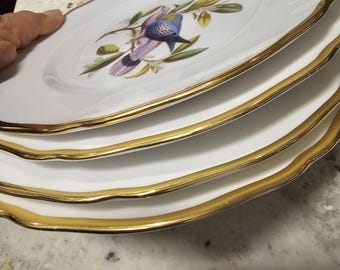 Spode Audubon Bird Salad Plates Copeland Hand Painted Bone China England Set 4
