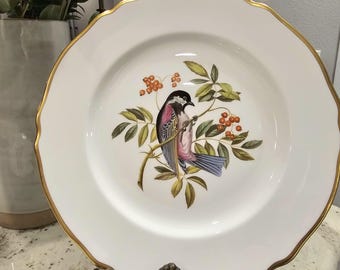 Spode Audubon Bird Dinner Plates Copeland Hand Painted Bone China England Set 4