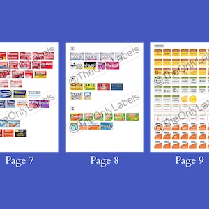 Ultimate Pocket Pharmacy Labels, Printable Pill Case Labels, Over 400 Pill Labels, Pill Organizer, Canva Template image 5