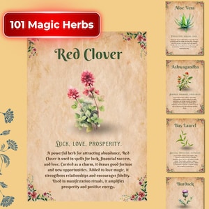 101 Hexen-Kräuterkarten • Magische Eigenschaften und Verwendung für Zauber, Rituale & Heilung • Kräuterkorrespondenz-Anleitung für Hexen • Printable