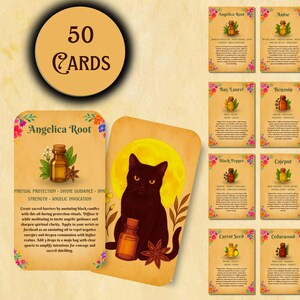 Puede incluir: Un juego de 50 cartas de tarot con ilustraciones botánicas. Las cartas presentan diversas hierbas y aceites, como Angelica Root, Anise y Basil. Una carta muestra un gato negro frente a una luna amarilla. Las cartas tienen bordes florales.