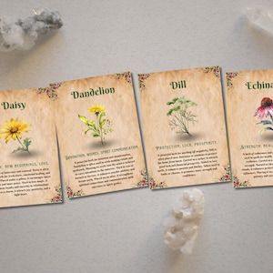 Op de afbeelding: Vijf ge&iuml;llustreerde kaarten met botanische illustraties en tekst. Elke kaart toont een andere bloem of kruid: madeliefje, paardenbloem, dille, echinacea. De tekst op elke kaart beschrijft de eigenschappen en het gebruik van de plant. De kaarten liggen op een lichtbruin oppervlak.