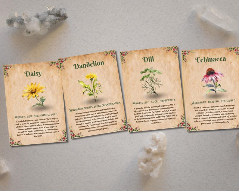 Op de afbeelding: Vijf ge&iuml;llustreerde kaarten met botanische illustraties en tekst. Elke kaart toont een andere bloem of kruid: madeliefje, paardenbloem, dille, echinacea. De tekst op elke kaart beschrijft de eigenschappen en het gebruik van de plant. De kaarten liggen op een lichtbruin oppervlak.