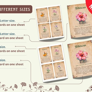 Op de afbeelding: Printbare digitale download van botanische illustraties met tekstbeschrijvingen. De kaarten tonen hibiscus, kurkuma, valeriaan en verbena. De afbeelding toont verschillende formaten en printopties voor de kaarten, waaronder US Letter en A4.