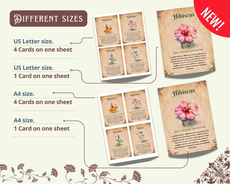 Op de afbeelding: Printbare digitale download van botanische illustraties met tekstbeschrijvingen. De kaarten tonen hibiscus, kurkuma, valeriaan en verbena. De afbeelding toont verschillende formaten en printopties voor de kaarten, waaronder US Letter en A4.