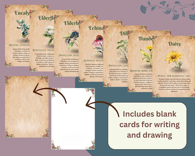 Op de afbeelding: Set bedrukbare kaarten met illustraties van verschillende kruiden en bloemen met hun bijbehorende namen en toepassingen. De kaarten hebben een vintage esthetiek met een perkament achtergrond en bloemmotieven. De tekst bevat woorden als "genezing", "bescherming" en "sterkte". De set bevat ook blanco kaarten om op te schrijven en te tekenen.