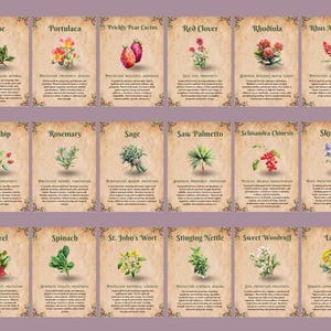 Op de afbeelding: Een set van 18 ge&iuml;llustreerde kaarten met verschillende kruiden en planten met hun namen en beschrijvingen. De kaarten hebben een perkament-achtige achtergrond met een vintage uitstraling.