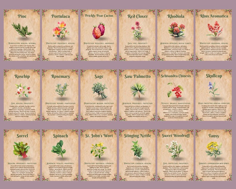 Op de afbeelding: Een set van 18 ge&iuml;llustreerde kaarten met verschillende kruiden en planten met hun namen en beschrijvingen. De kaarten hebben een perkament-achtige achtergrond met een vintage uitstraling.