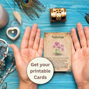 Op de afbeelding: Een printbare kaart met een illustratie van Valeriaan, een bloeiende plant, en tekst die luidt "Valeriaan. Vrede. Bescherming. Droomwerk. Een krachtig kruid voor ontspanning en spirituele bescherming. Valeriaan wordt gebruikt in spreuken voor vrede, emotionele genezing en diepe slaap. Verbrand als wierook om profetische dromen en visioenen te cultiveren. Valeriaan is een warme, rustgevende plant, bevordert een rustige sfeer, biedt bescherming en emotionele stabiliteit."