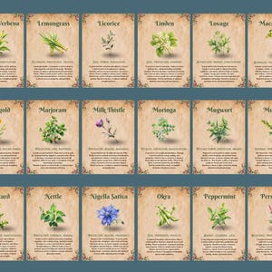 Op de afbeelding: Een set van 18 vintage-stijl kaarten met illustraties van verschillende kruiden en hun bijbehorende magische eigenschappen. Elke kaart heeft een beige achtergrond met een bruine rand en toont een botanische illustratie van het kruid, de naam en een beschrijving van de magische eigenschappen.