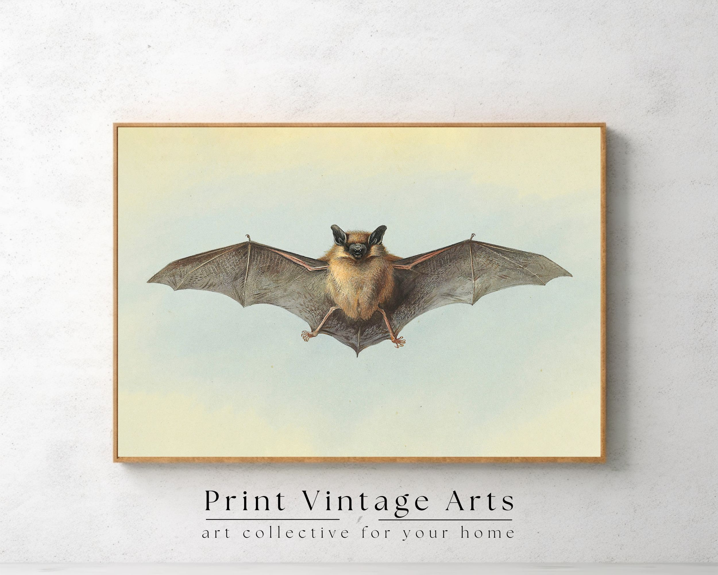 Vintage Halloween Wandbild - Mädchen Mit Fledermaus, Gothic Design