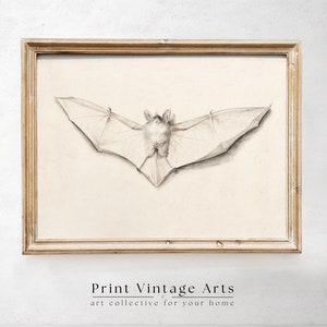 Vintage Bat Printable Wall Art, Antique Halloween Painting, Moody Bat Art Print, Spooky Wall Decor, Dark Art Witchy Decor, Dark Academia