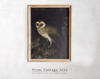 Printable Antique Owl Painting, Vintage Dark Academia Wall Art, Moody Rustic Bird Print, Animal Wall Art, Dark Art Digital Download
