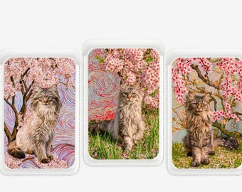 Cartera MagSafe universal estilo Van Gogh: talla única para todos los modelos de iPhone con estampado de flores de primavera y tarjetero magnético delgado.