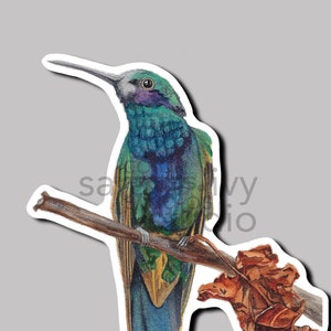 May include: A watercolor painting of a green and blue hummingbird perched on a branch with a brown leaf. The hummingbird has a long, thin beak and a small, round head.