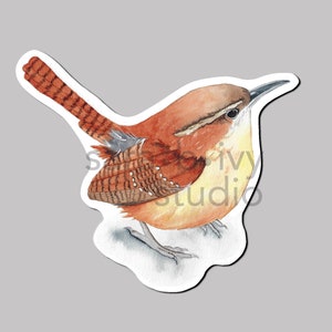 Carolina Wren Watercolor Sticker, Small Songbird Vinyl Decal, Laminated Peel and Stick Bird Decoration for Smart Phone Case, Laptop, Planner