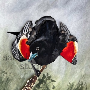 Red Winged Blackbird Limited Edition of 20 Fine Art Print, Black Bird with Red Wings Giclee Print by Sara B. Ivy