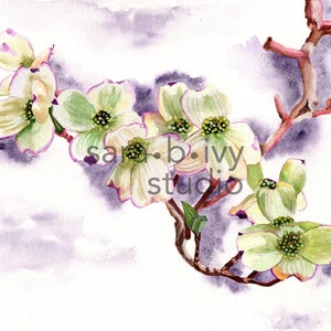 Dogwood Tree Blossoms Limited Edition of 10 Fine Art Print, Landscape Tree Blossoms Giclee Watercolour Reproduction Print by Sara B. Ivy