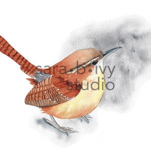 Carolina Wren Limited Edition of 10 Fine Art Print, Small Brown Songbird Archival Giclee Watercolour Reproduction Print by Sara B. Ivy