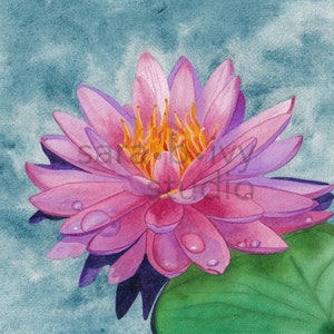 Pink Water Lily Limited Edition of 10 Watercolor Fine Art Print, Lotus Flower and Lily Pad Archival Giclee Watercolour Print by Sara B. Ivy