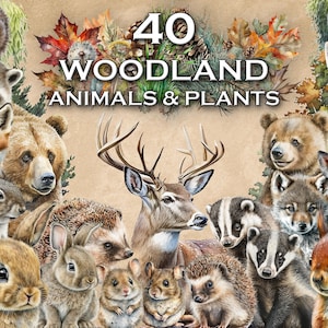40 Woodland Animals Watercolor Clipart, commercial use, Transparent PNGs, Nursery Clipart, woodland creatures, woodland plants clipart
