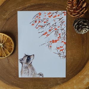 Raton laveur et kakis (mini impression d'art 5 x 7), impression Cottagecore, art fantaisiste, art des bois, art raton laveur, impression aquarelle, art de l'hiver