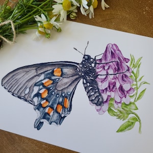 May include: A watercolour painting of a black swallowtail butterfly with orange and white markings, perched on a purple flower with green leaves.