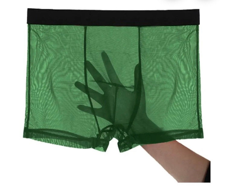 Men Transparent Mesh Boxer See Through Mesh Underwear See - Etsy Sweden
